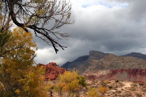 Calico Basin with Turtle Head Rock in background.  Taken from Red Springs by Susie Hadland.